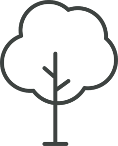 Outdoor Tree Icon